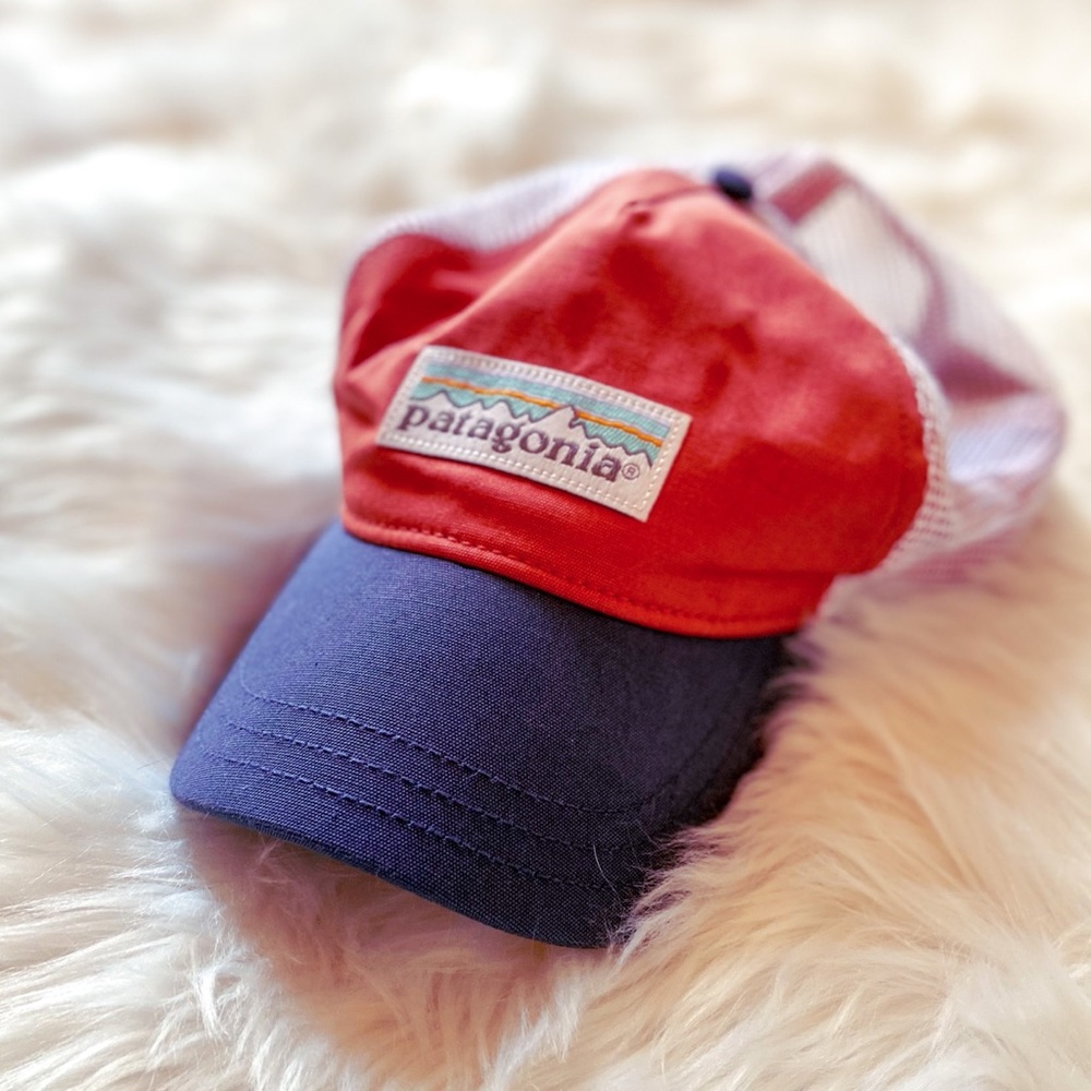 Patagonia SnapBack
